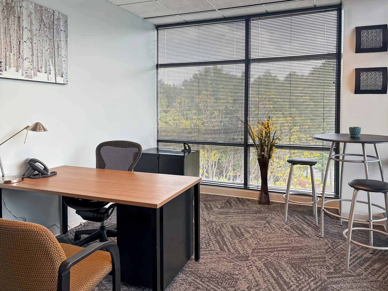 Regus VA, Richmond - Glen Allen, Private office, 1 desk, Glen Allen, VA