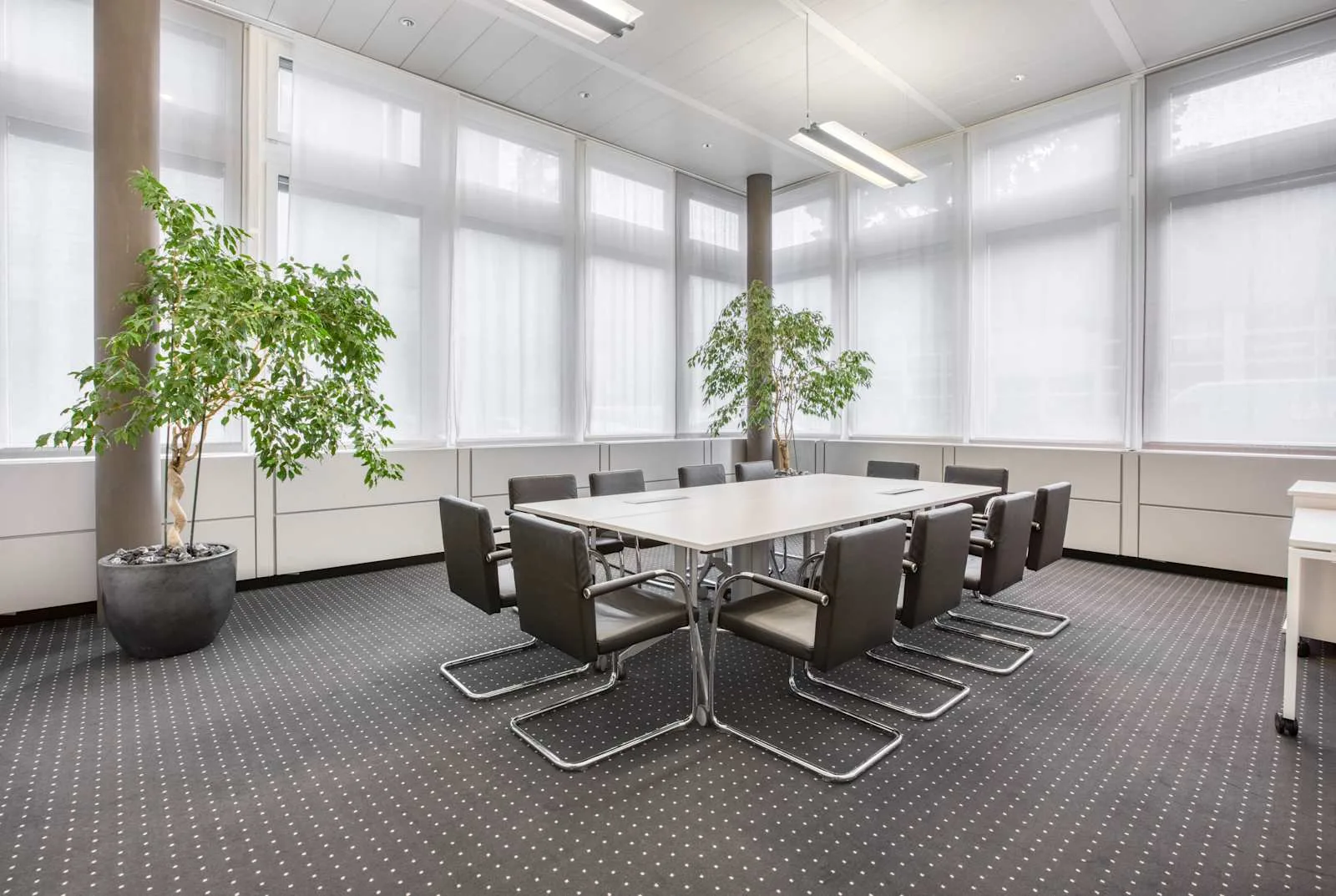 Regus Zug, Dammstrasse, Besprechungsraum für 10 Personen, Zug