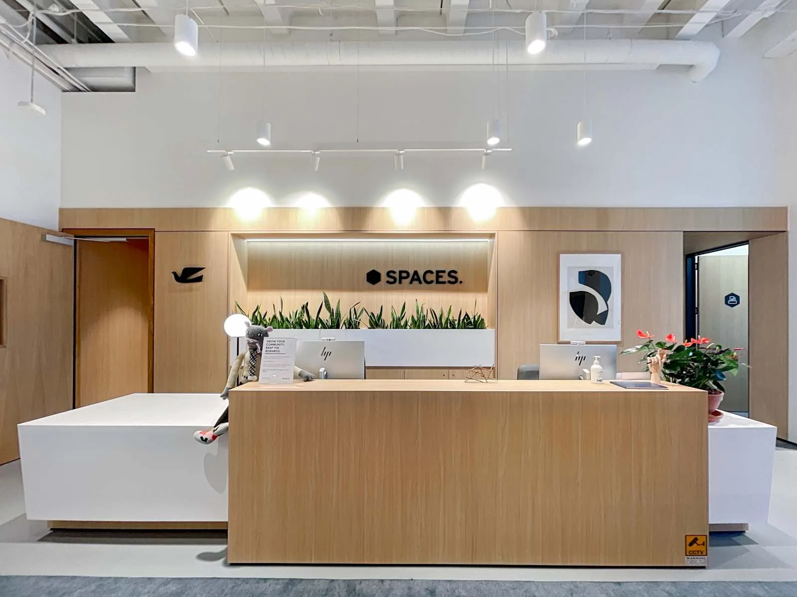Spaces 110 Carlton Gore Rd, Reception, Auckland