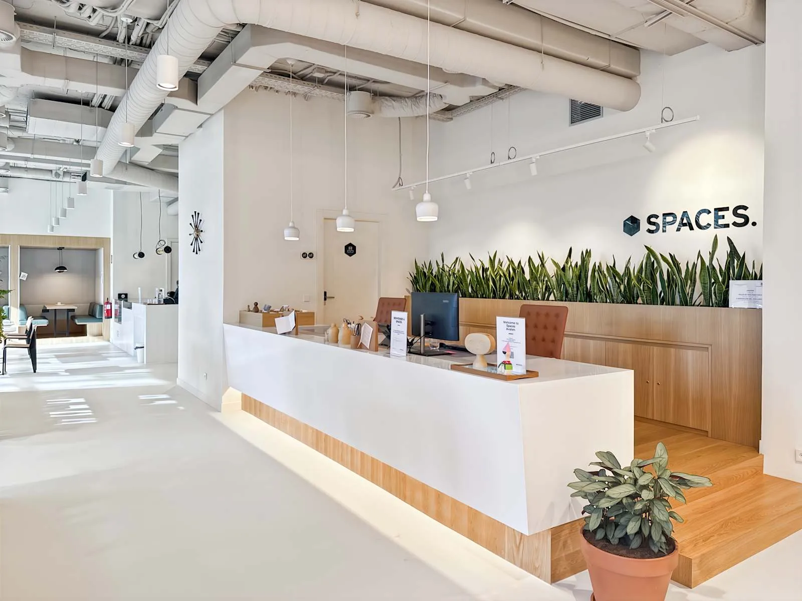 Spaces Avalon, Reception, Madrid