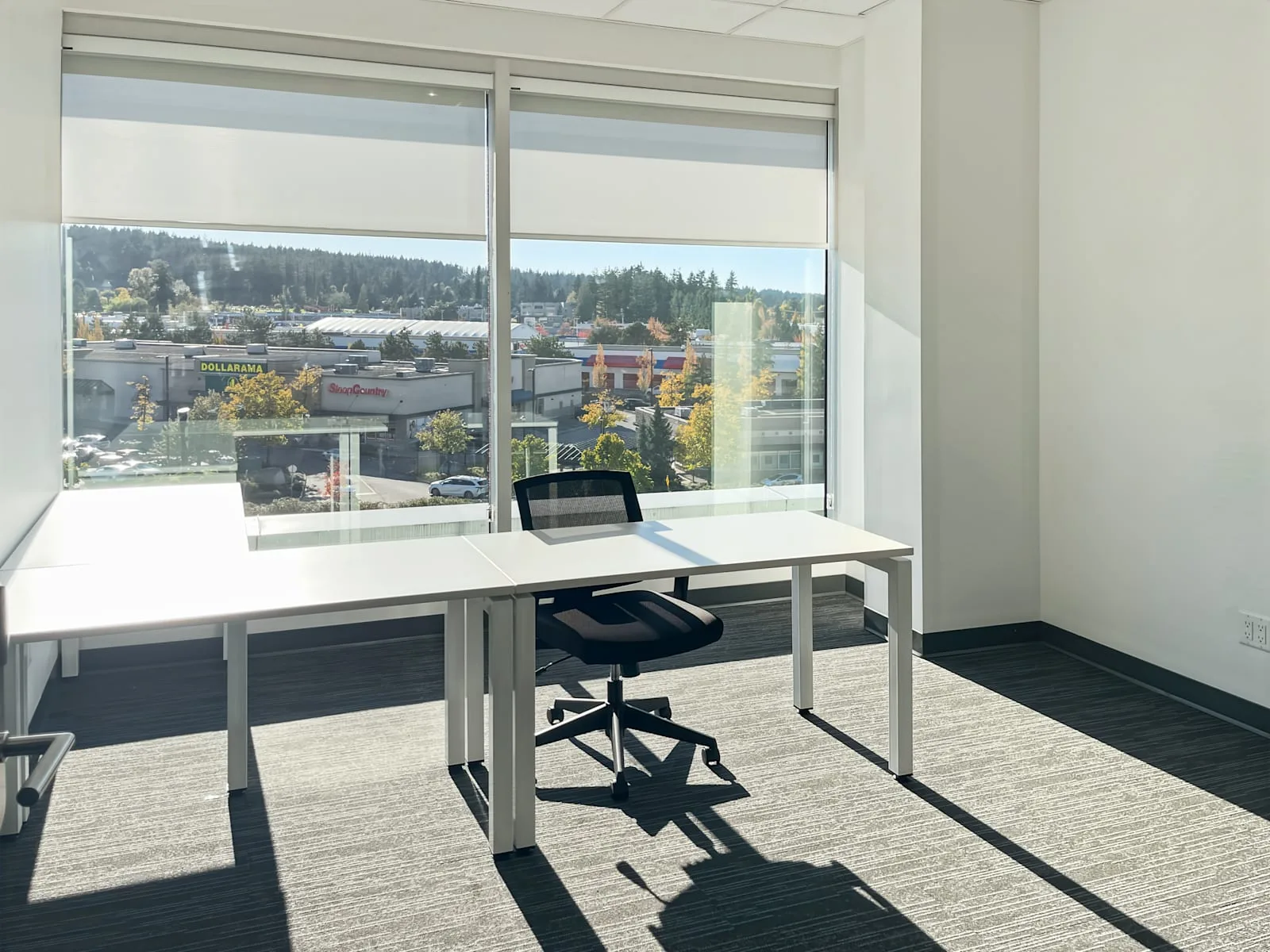 Spaces BC, Surrey - The Professional Center, Private office, 1 desk, Surrey, BC