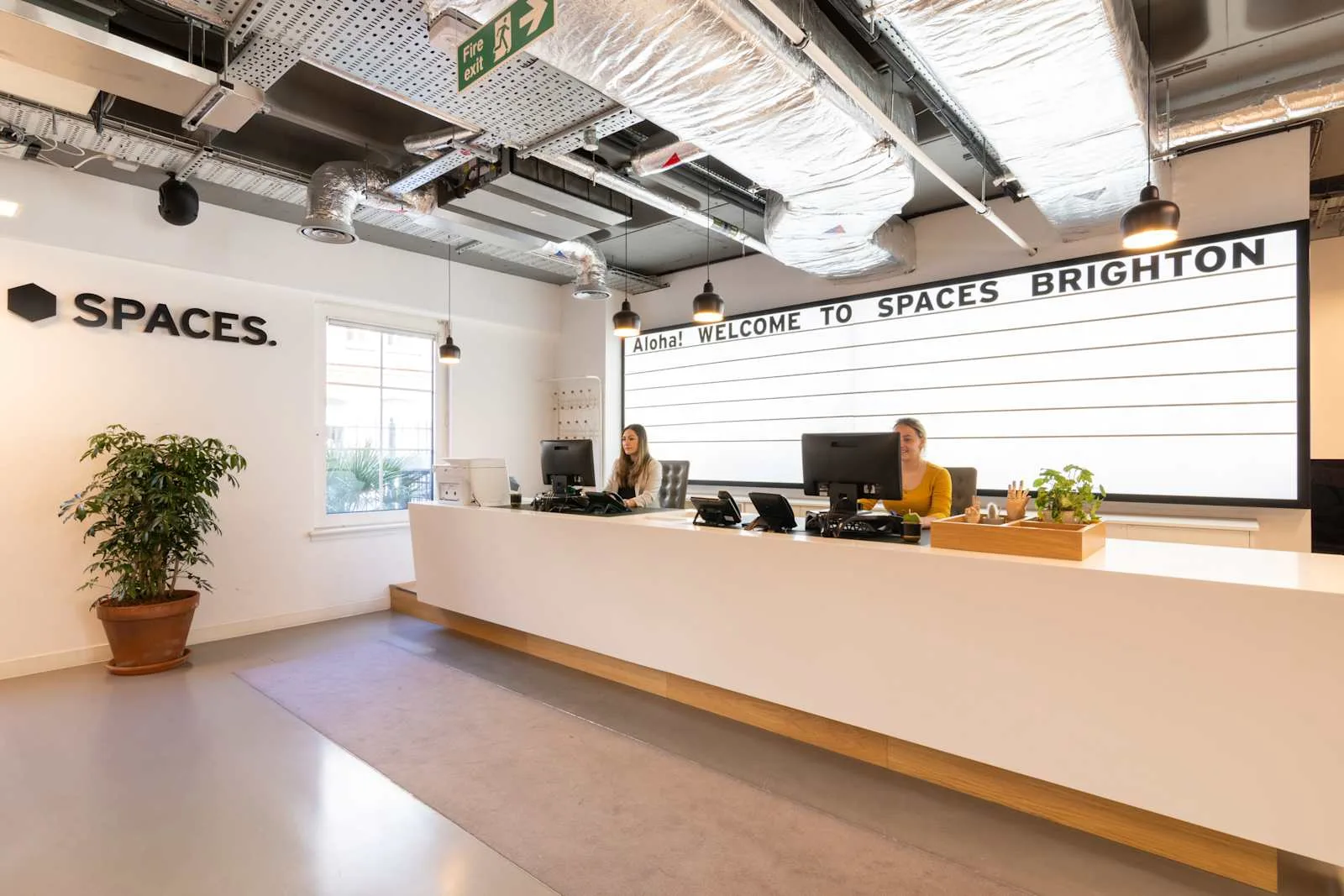 Spaces BRIGHTON,Trafalgar Place, Reception, Brighton
