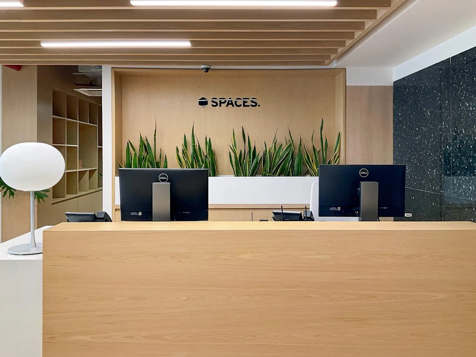 Spaces Guadalajara, Americas 1586, Reception, Guadalajara, Mexico