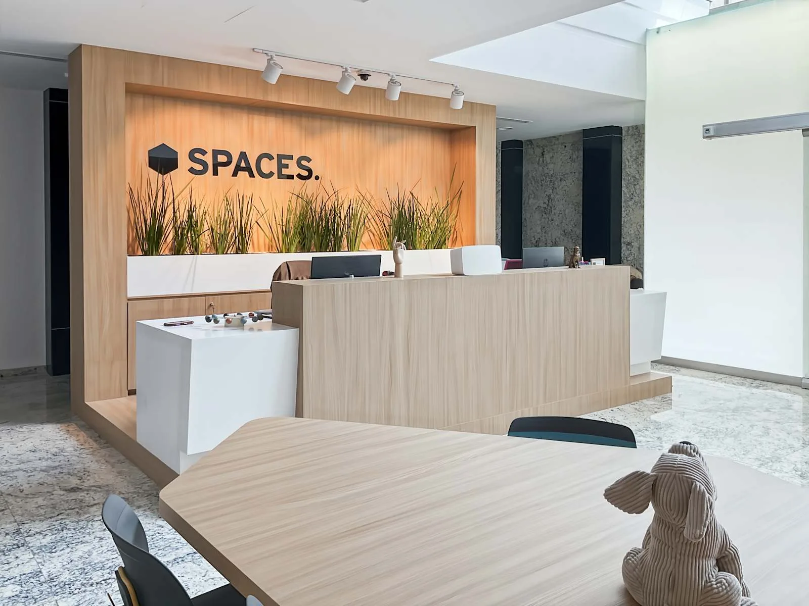 Spaces MEXICO CITY, Roma, Reception, Mexico City