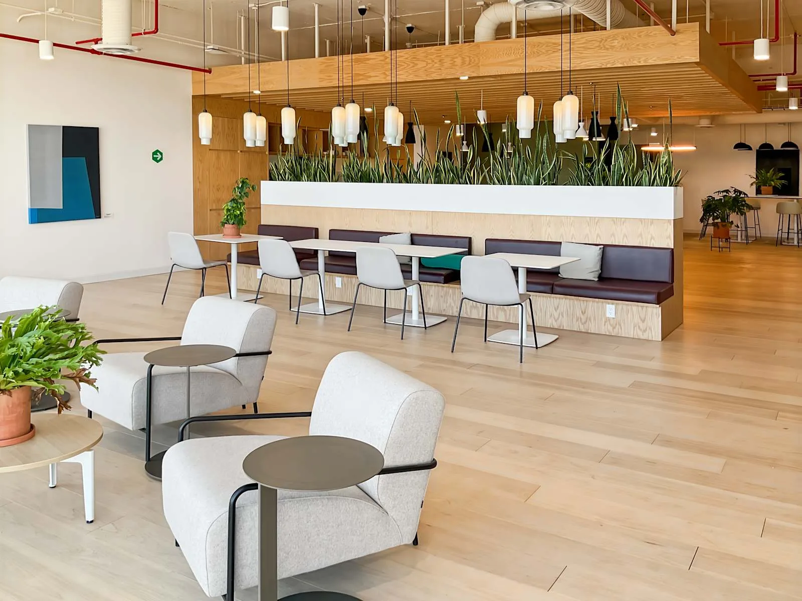 Spaces MEXICO CITY, Samara Santa Fe, Cafeteria, Álvaro Obregón