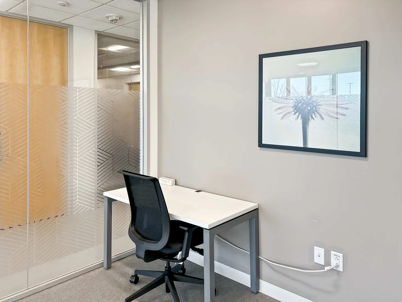 Spaces NC, Durham - Spaces Mangum Street, Private office, 1 desk, Durham, NC