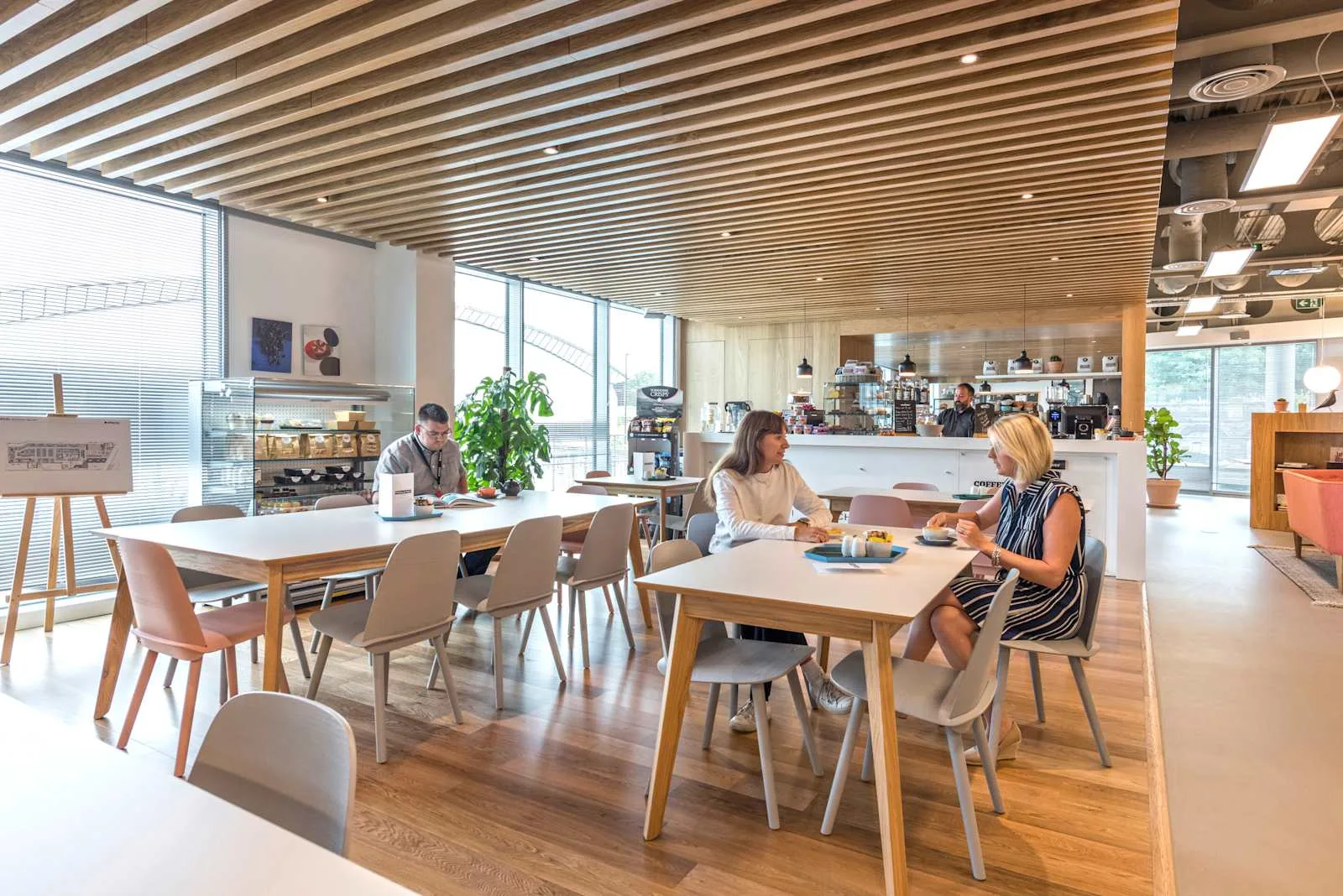 Spaces SHEFFIELD, Spaces Acero, Cafeteria, Sheffield