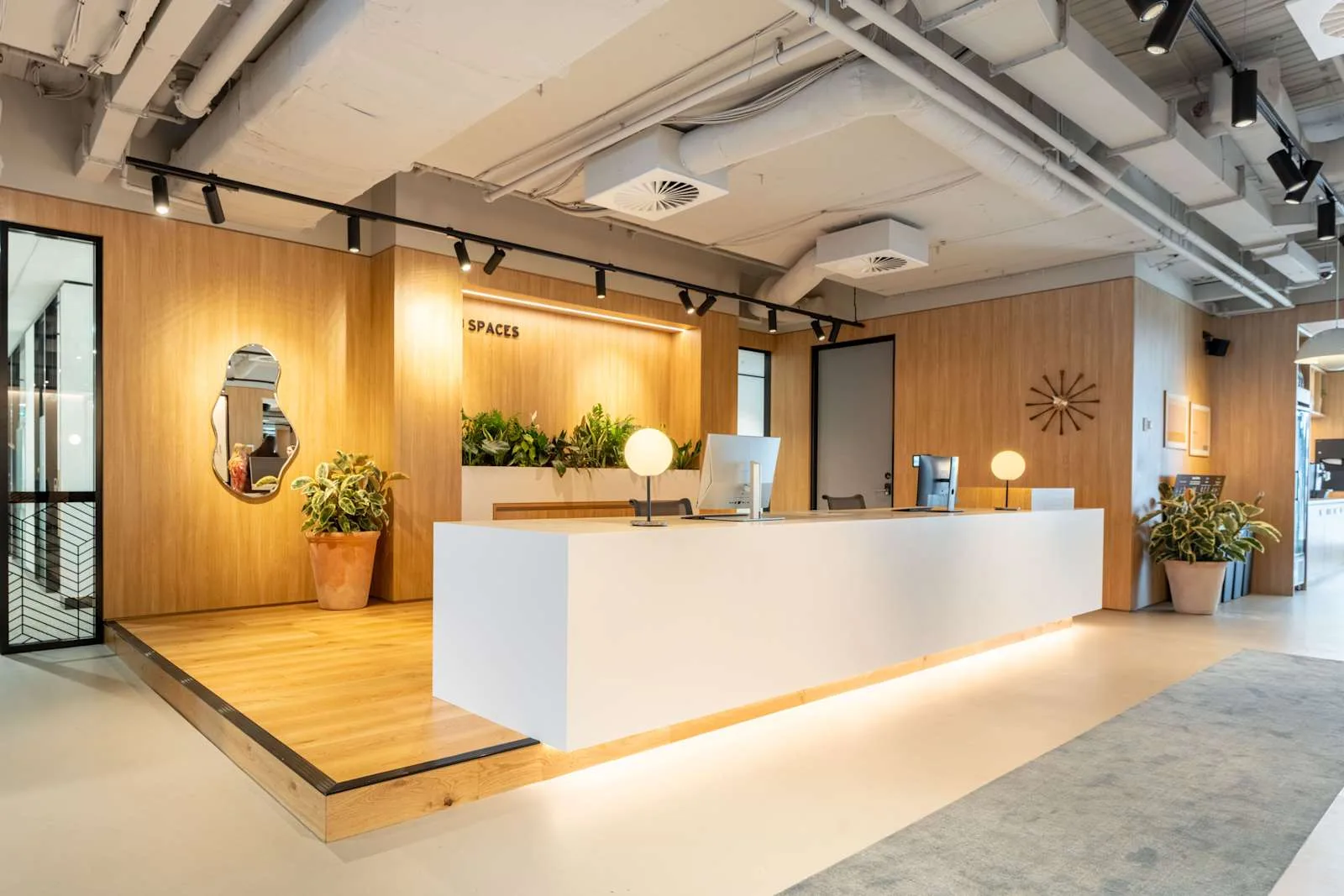 Spaces Sydney, Spaces 1 Denison Street, Reception, Sydney, NSW
