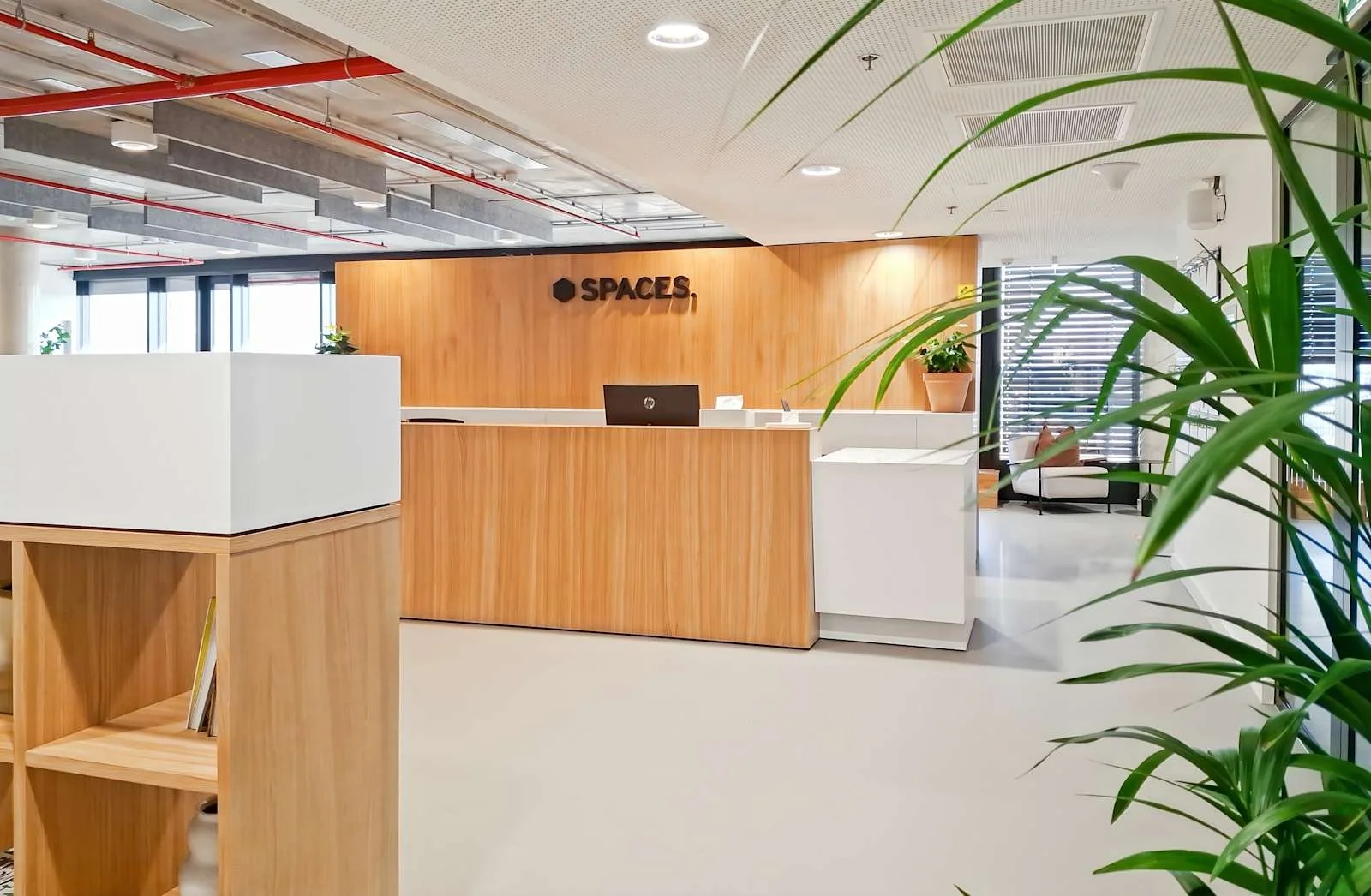 Spaces Vienna, Francis, Empfang, Wien