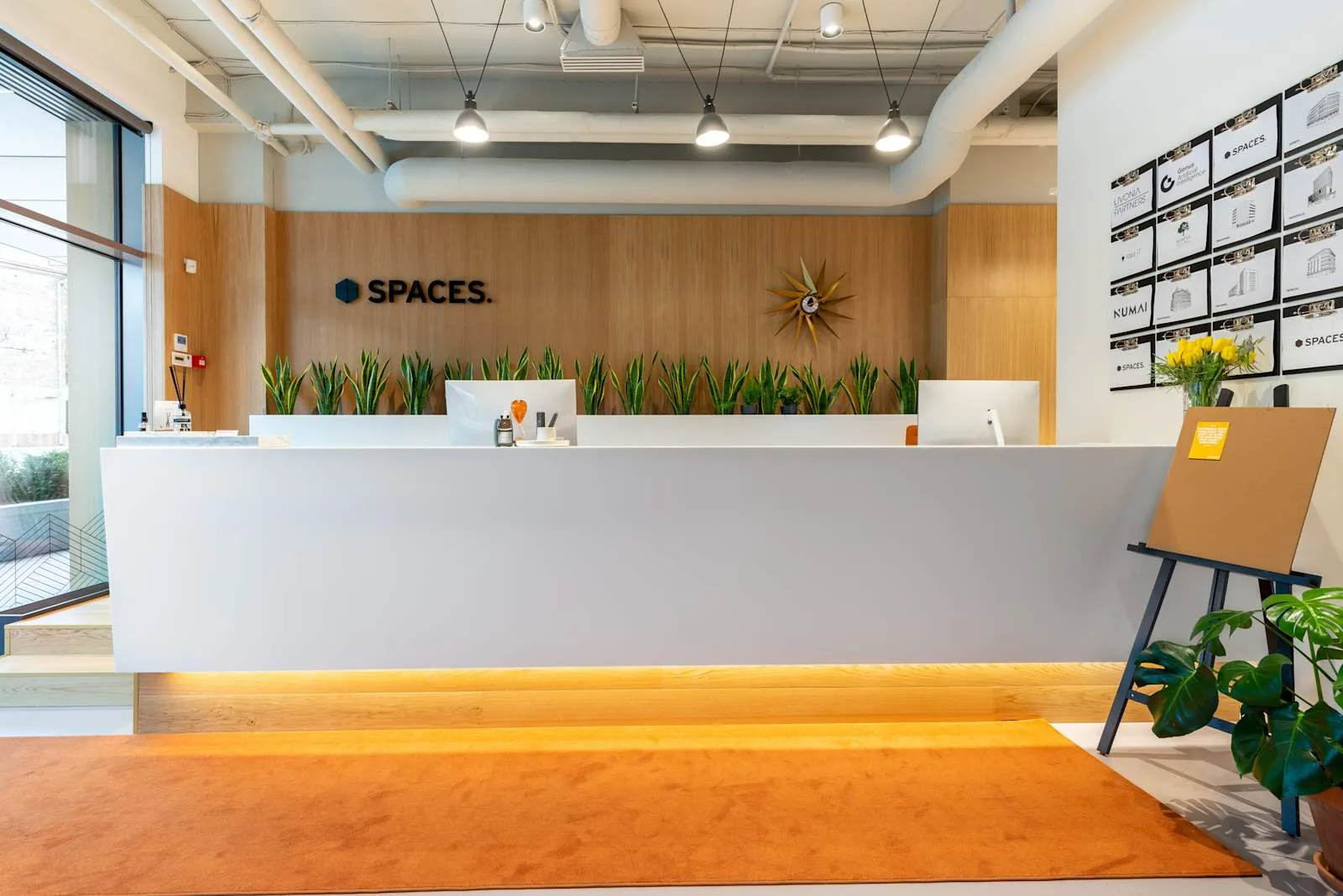 Spaces VILNIUS, Gedimino, Reception, Vilnius