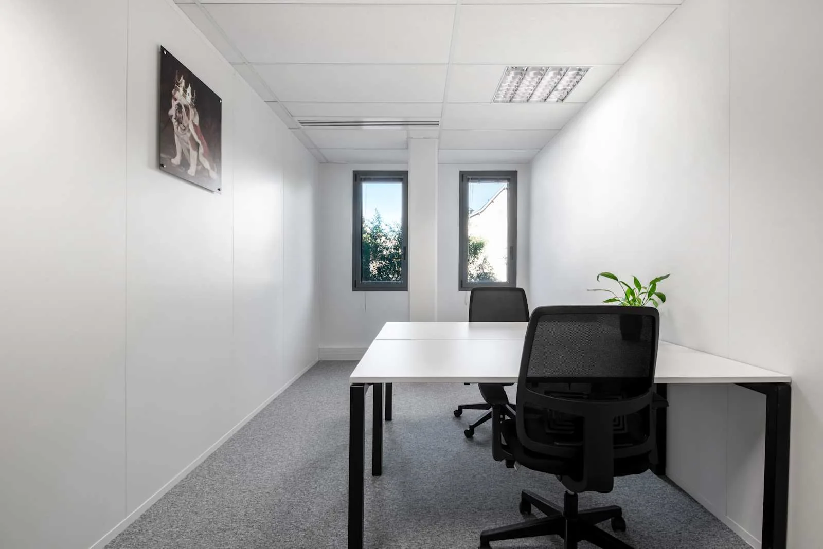 Stop And Work MAISONS LAFFITTE, Stop & Work, Privatbüro mit 2 Arbeitsplätzen, Maisons Laffitte