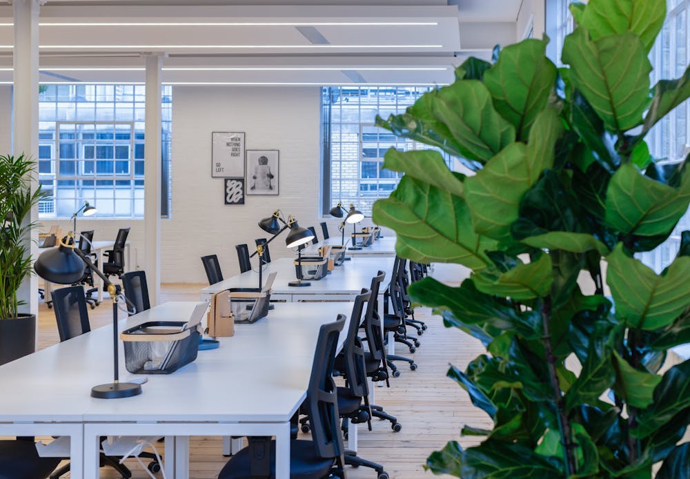 Beem - Nutmeg House, Open-plan office, London