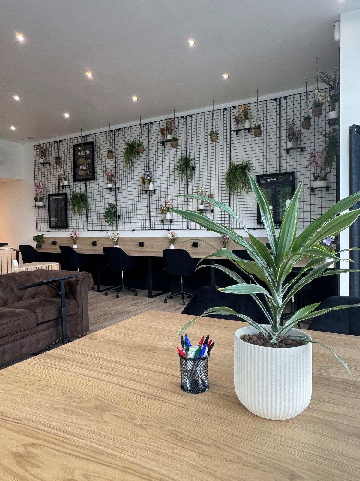 Cowork & Co