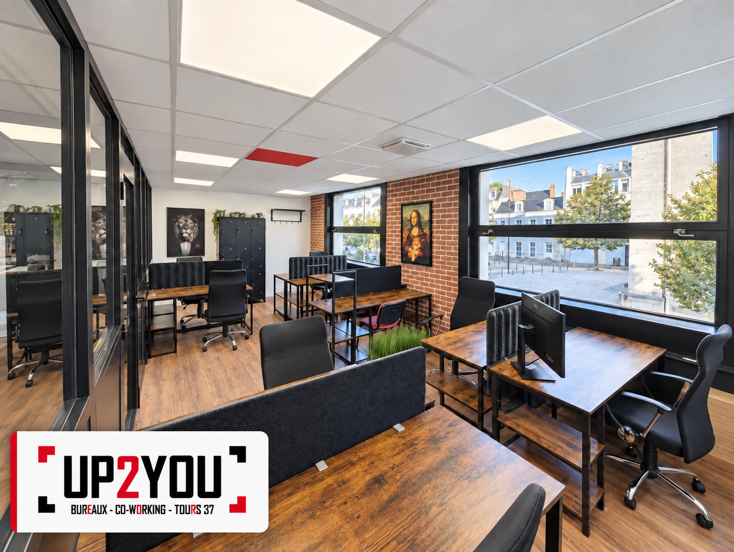 Up2You Tours, Open-plan office, Tours