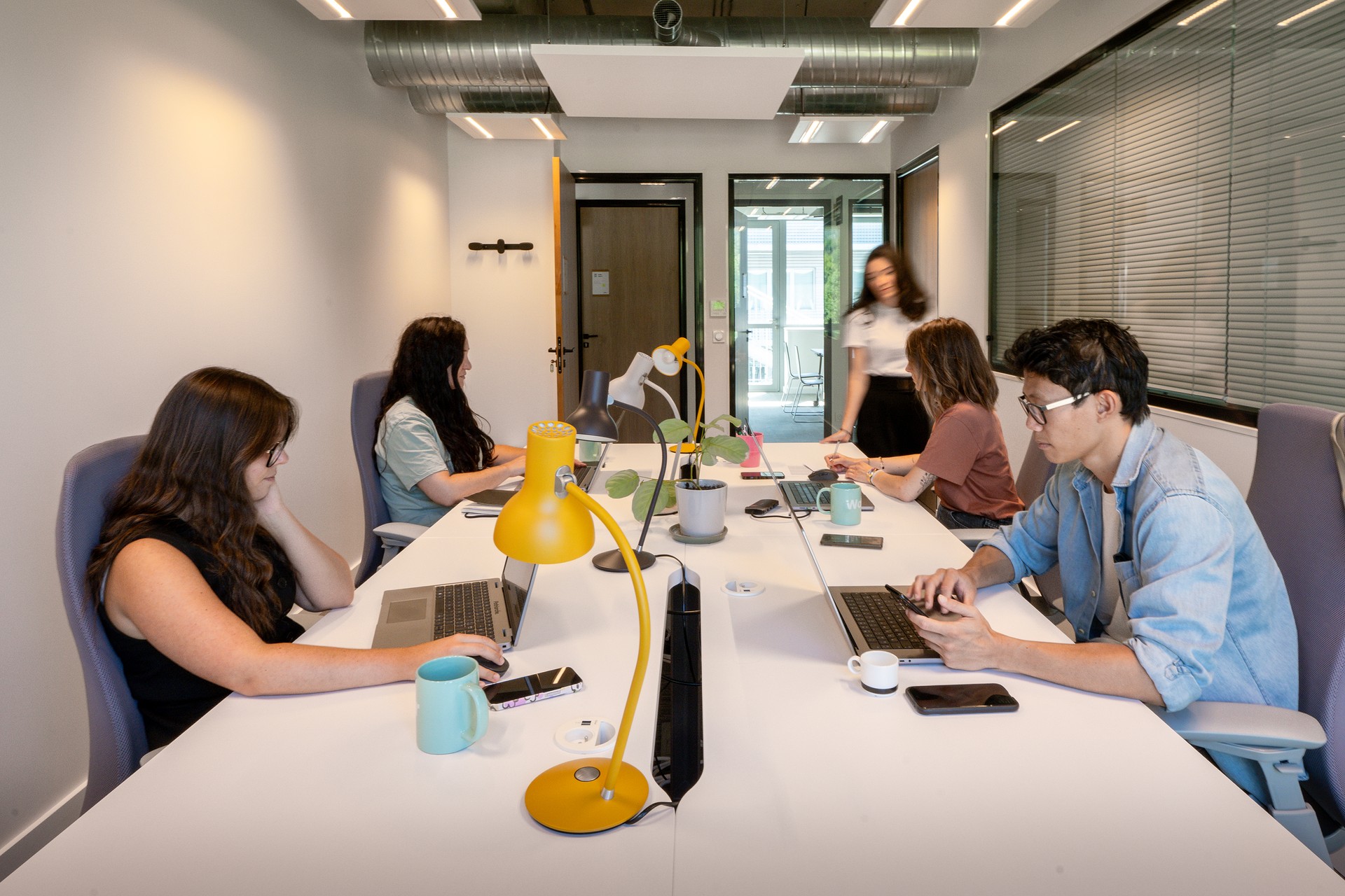 Walter Technolac, Private office, 6 desks, La Motte-Servolex