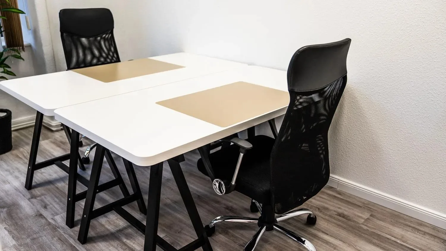 Amapola Coworking Scharnhorststraße, Privatbüro mit 2 Arbeitsplätzen, Leipzig