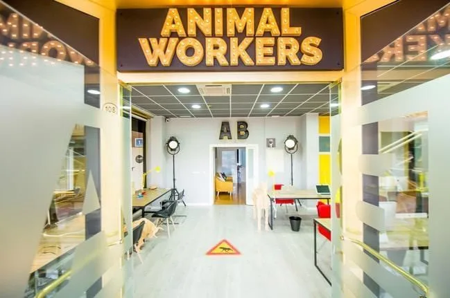 Animal Workers, Coworking space, Boadilla del Monte