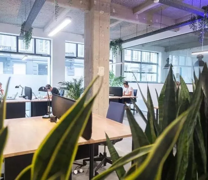 Atelier 15, Open-plan office, Anderlecht