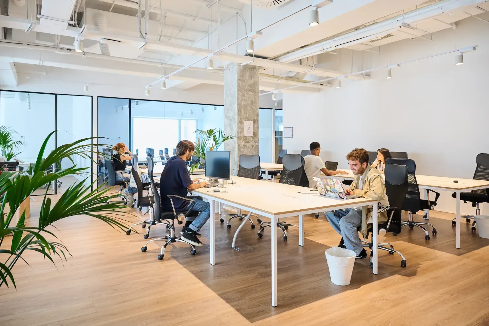 Aticco Principe de Vergara, Open-plan office, Madrid