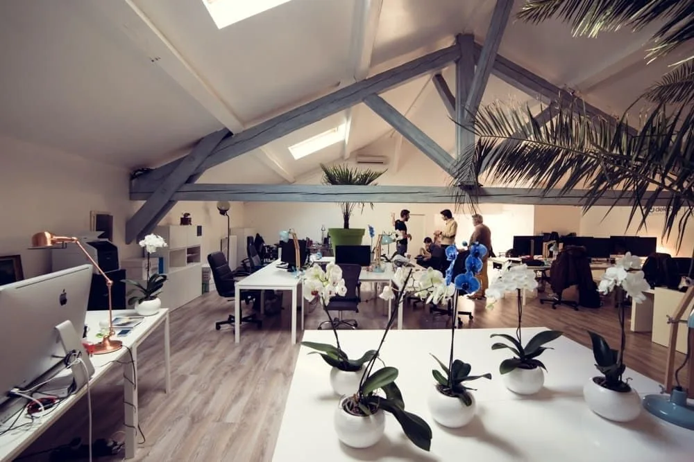 Atome Jungle, Großraumbüro, Villeurbanne