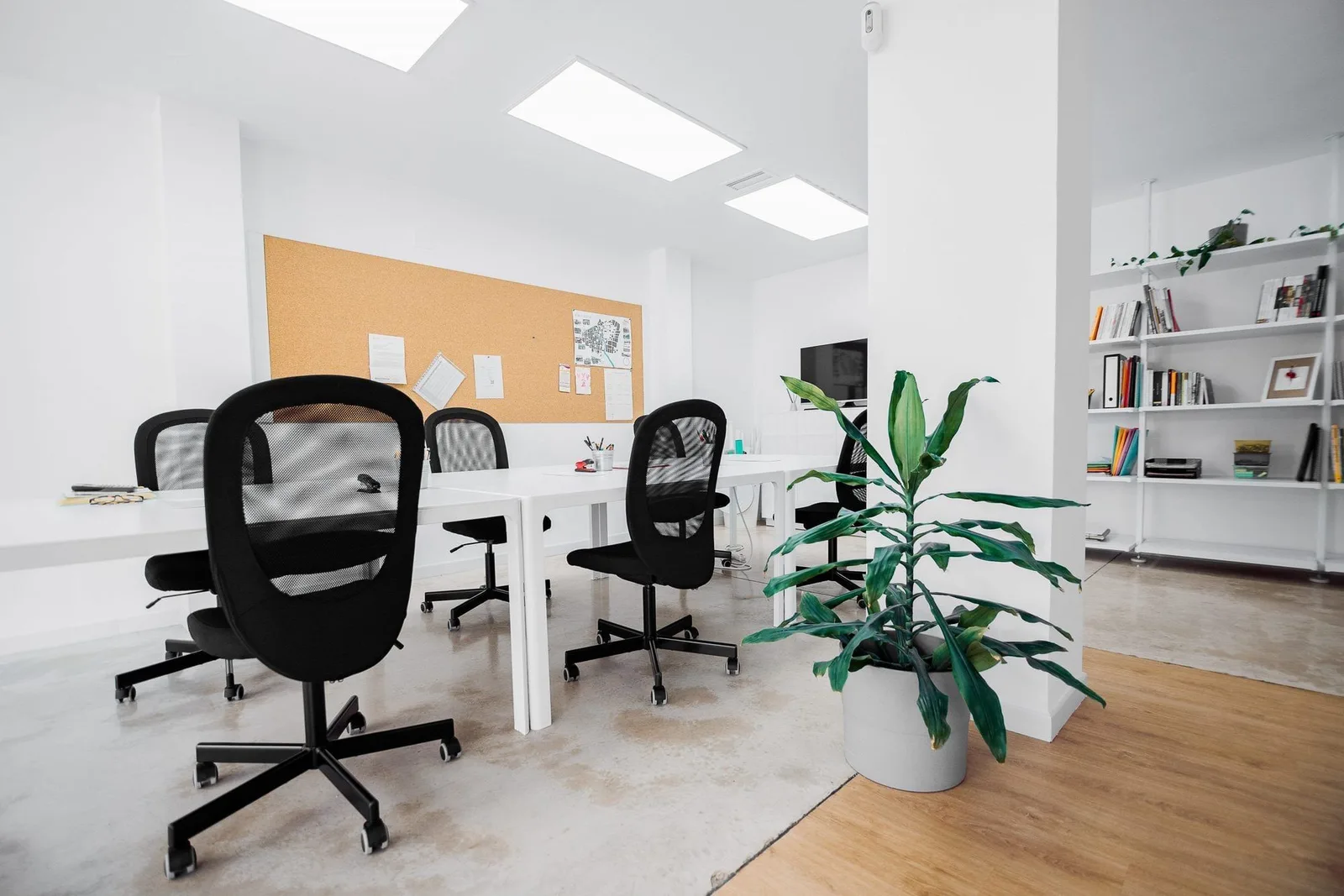Atovó, Open-plan office, Paiporta