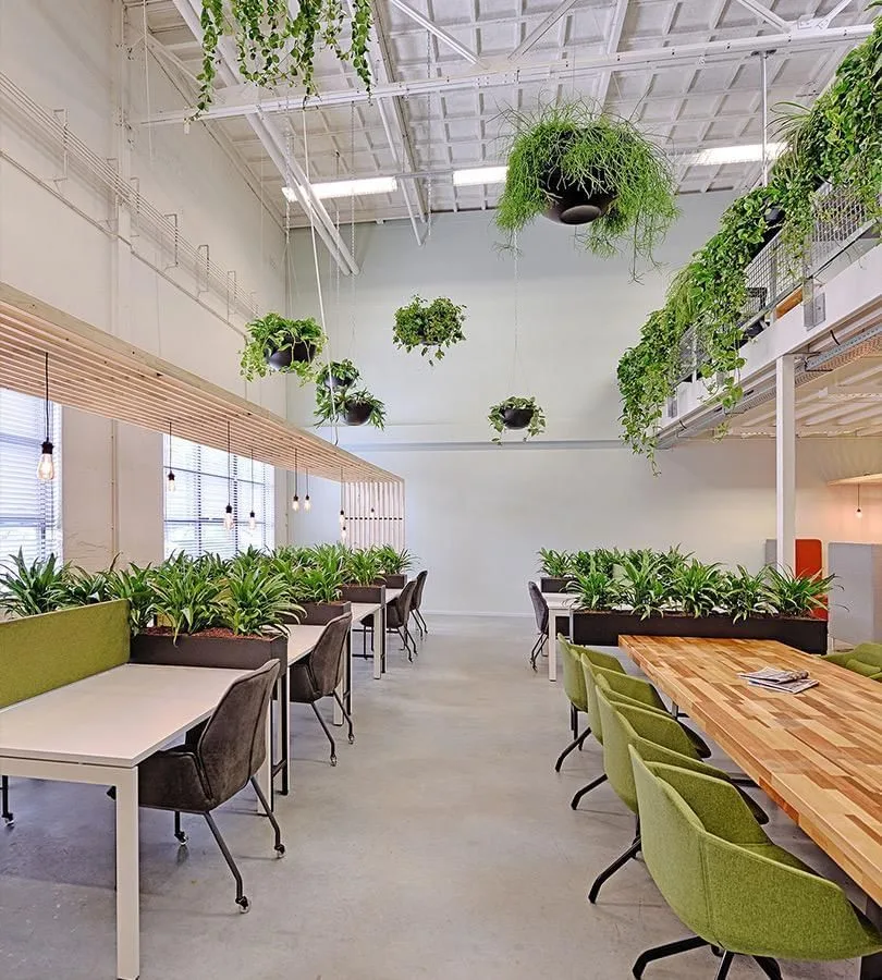 Babylon Business Centers, Open space, Uden
