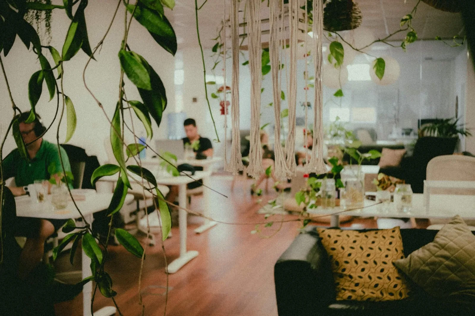 Beach House Coworking, Coworking space, Las Palmas de Gran Canaria