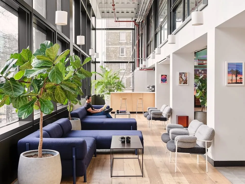 Beyond The Bower, Lounge, London