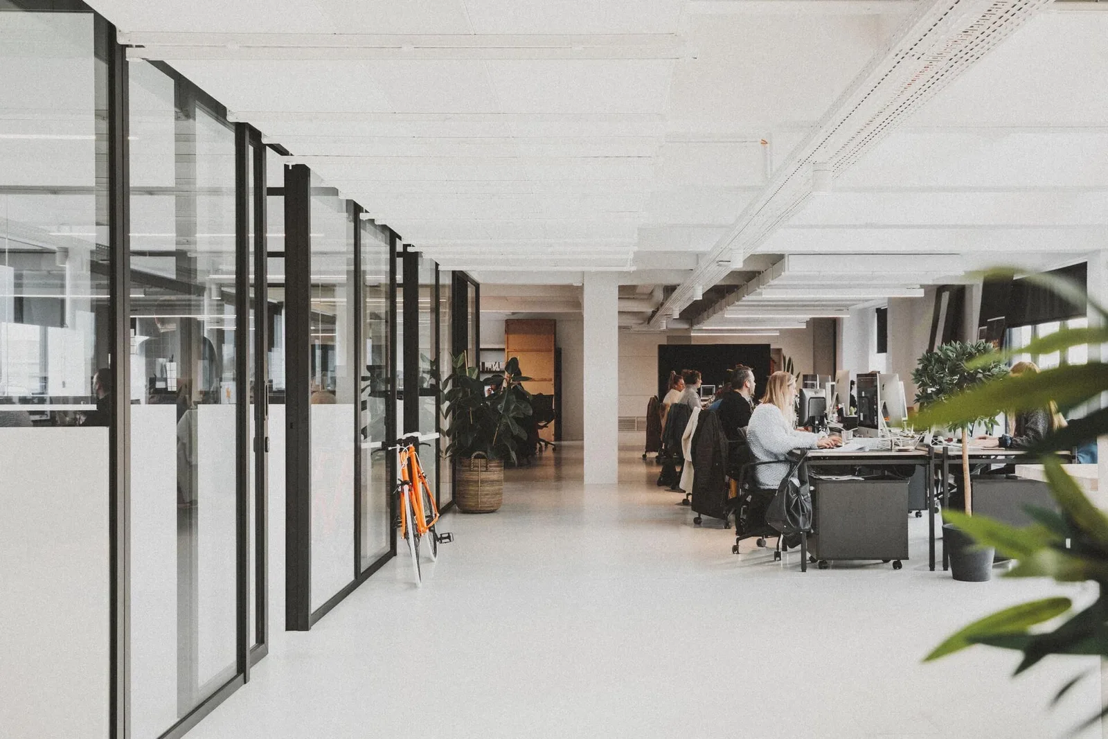 Blackboxx, Open space, Brugge