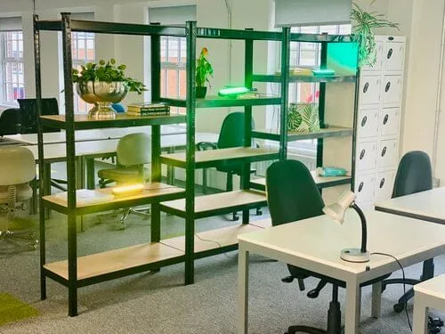 Bloom Space Rugby, Open-plan office, Rugby