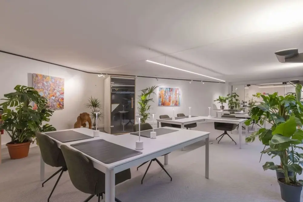 Botanic Coworking Space, Open ruimte Nomade, Gent
