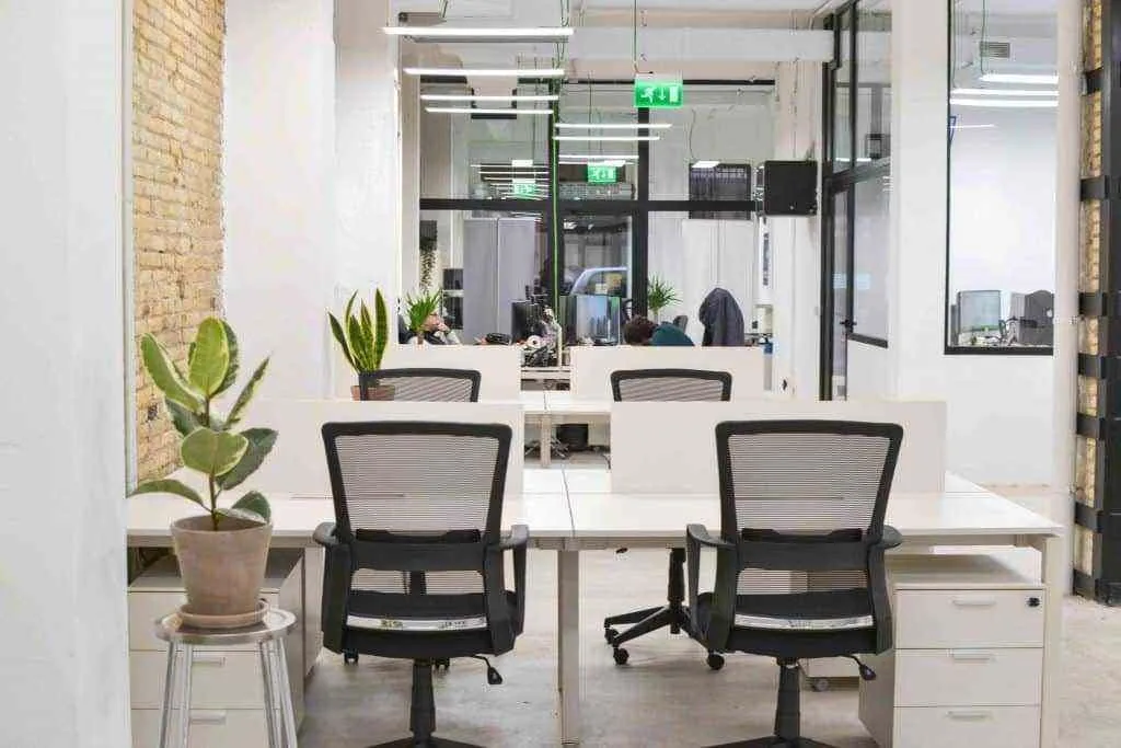 Botánico Coworking Valencia, Espaço aberto, Valencia