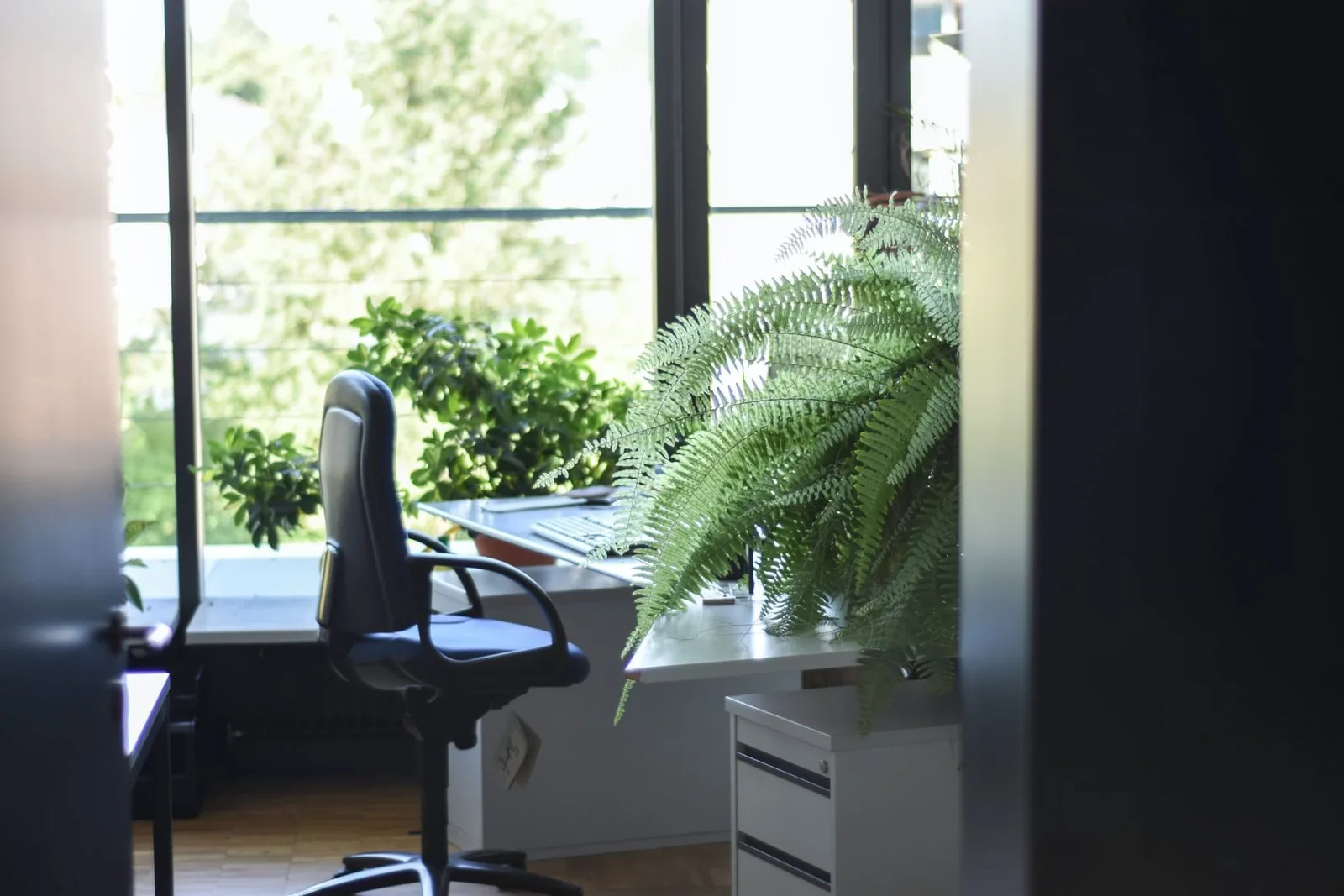 Bray Business Centre, Bureau privatif 1 poste, Maidenhead