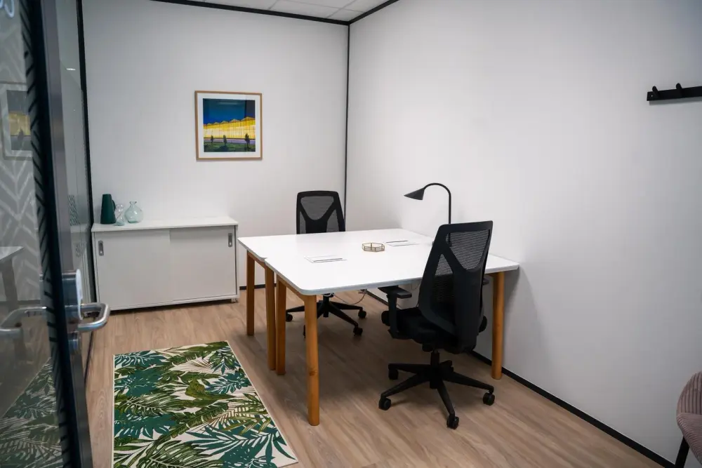 Flex-O Sophia Antipolis, Bureau 1/2 postes - lumière artificielle, Valbonne
