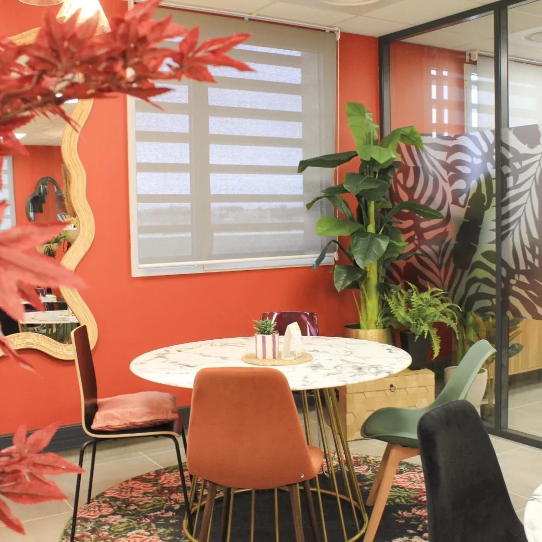 Bureaux & Co Roch Plaza, Salle de réunion 5 personnes, Montpellier