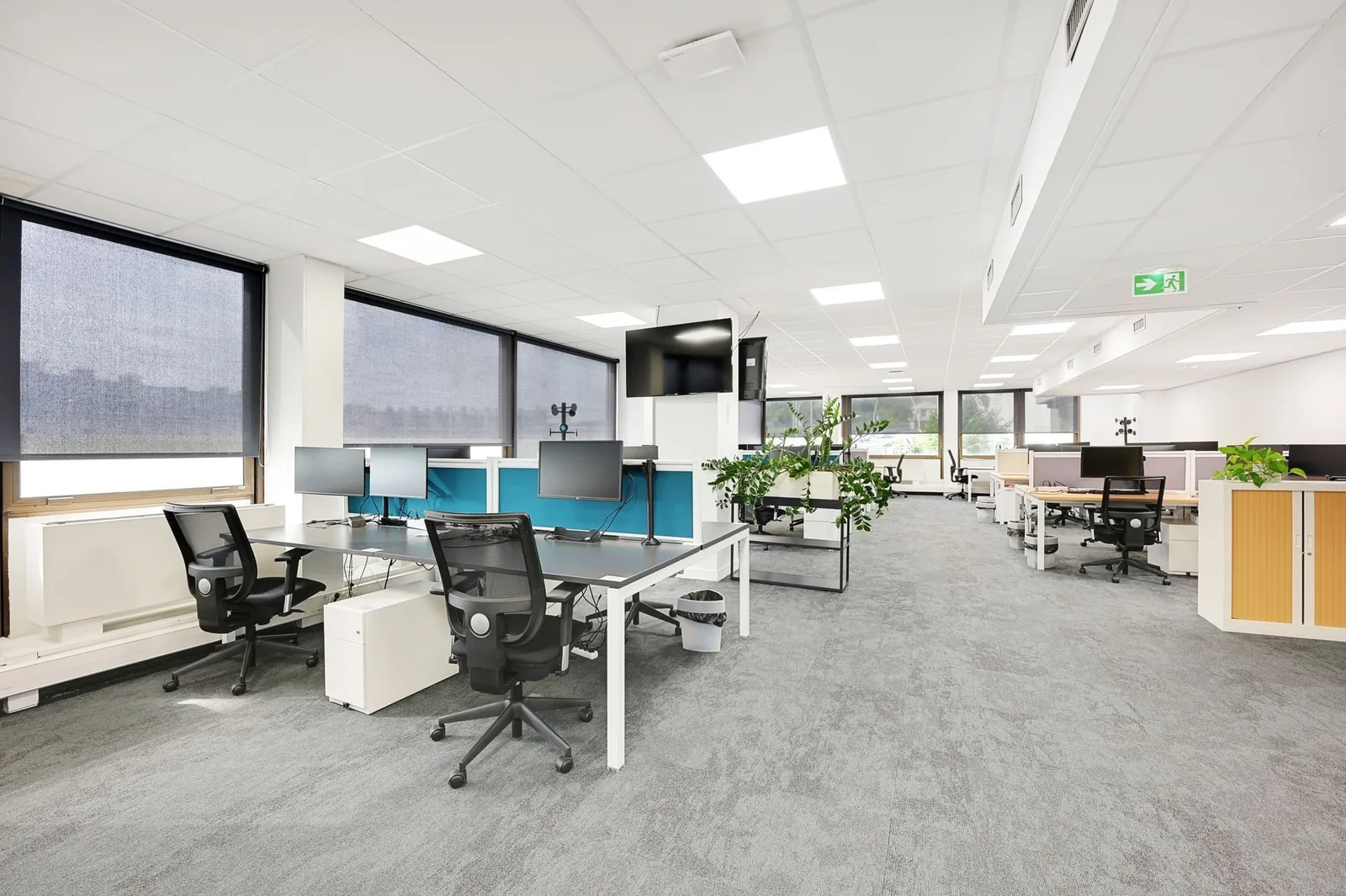 Bureaux de la Colline, Open-plan office, Saint-Cloud