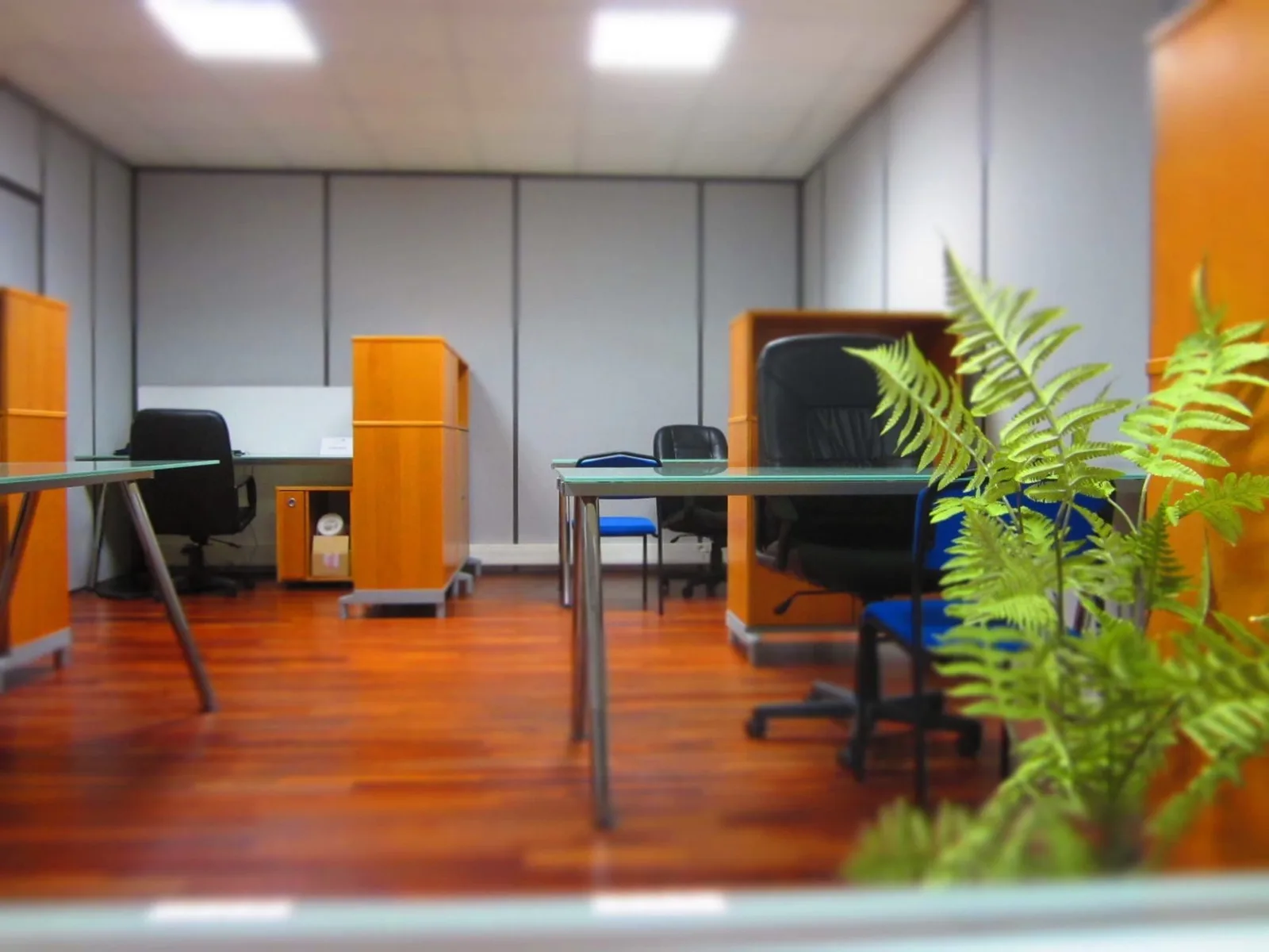 Les Bureaux Du Littoral, Open space, Marseille 15e