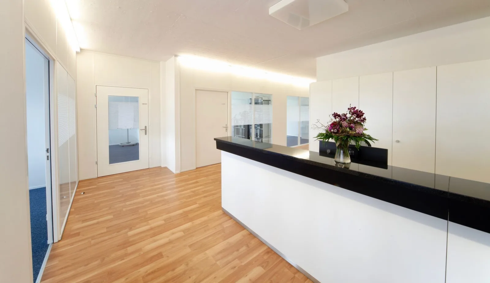 Büro Impuls, Reception, Baar