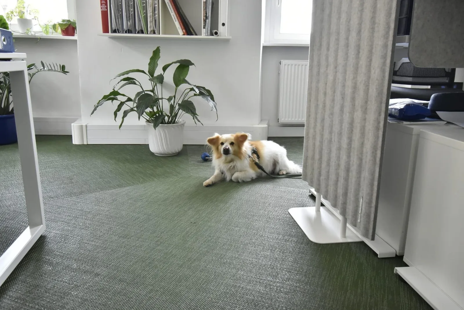 Büro T6, Großraumbüro, Regensburg