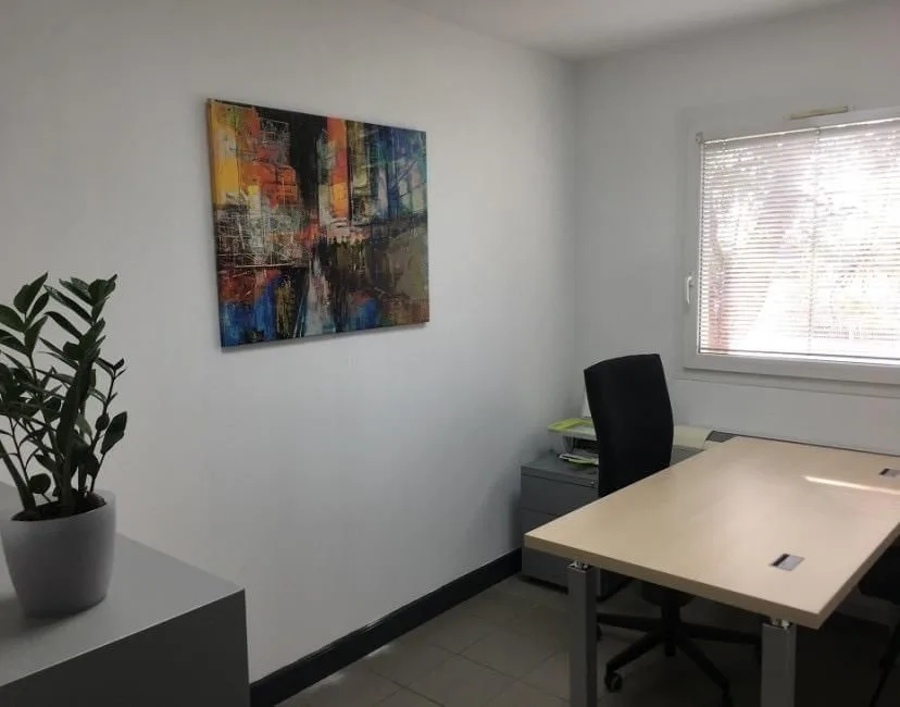 Call Entreprises, Private office, 1 desk, Caissargues