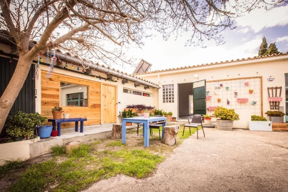 Can Fogarada, Terrace and outdoor space, Palma