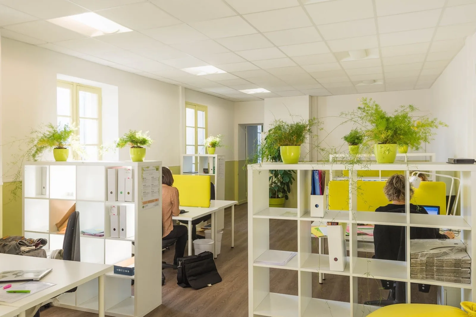La Canopée, Open-plan office, Gradignan