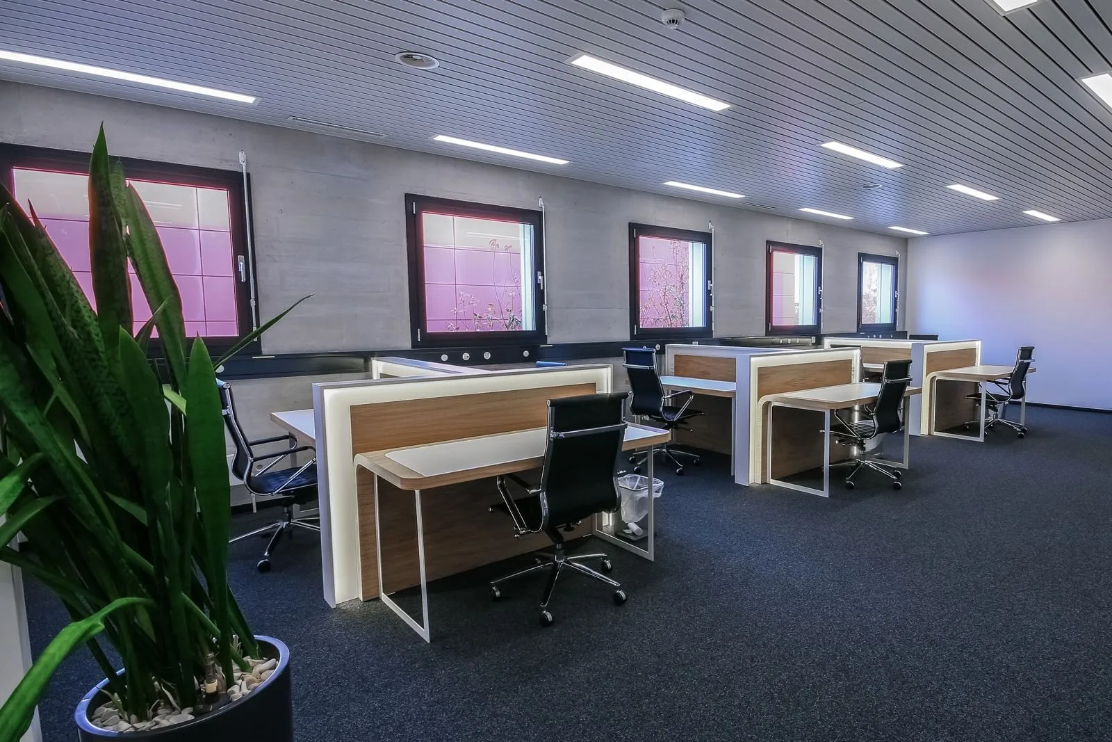 Cassiopée Coworking, Open space, Yverdon-les-Bains