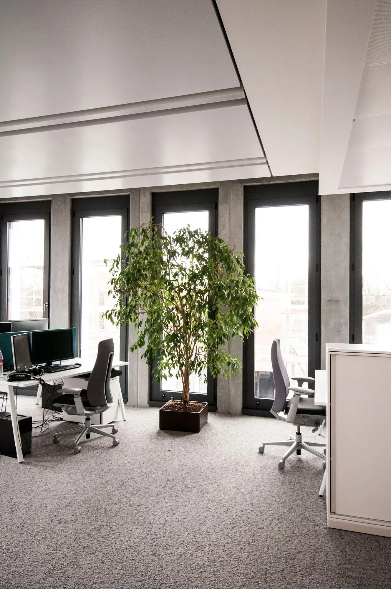 CEDAR Coworking, Großraumbüro, Weinheim
