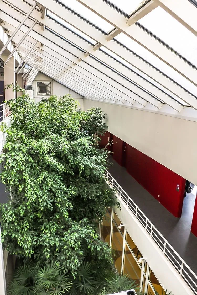 La Centrif', Common area, Champs-sur-Marne