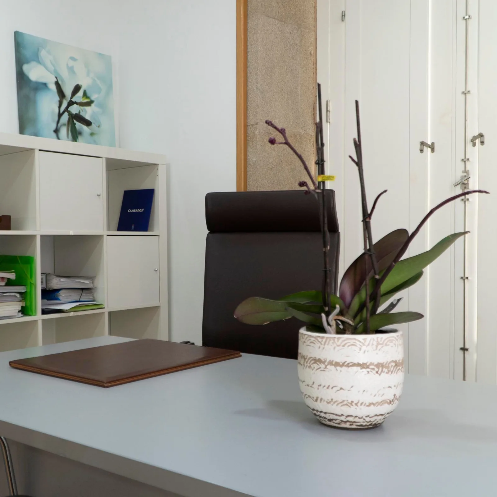 Centro Dalle Que Dalle , Private office, 1 desk, Vilagarcía de Arousa