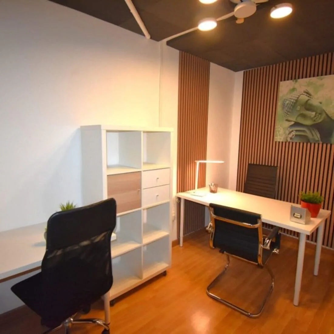 Centro de Negocios Alicante, Private office, 2 desks, Sant Vicent del Raspeig