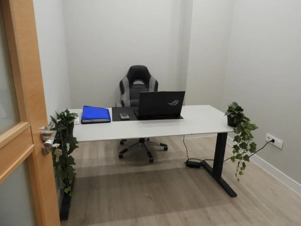 Centro De Negocios Arganzuela, Private office, 1 desk, Madrid