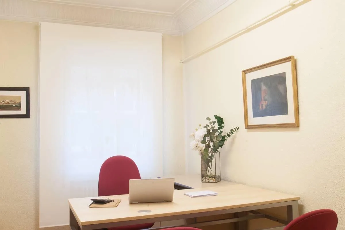 Centro De Negocios Sangüesa 6, Private office, 1 desk, Pamplona