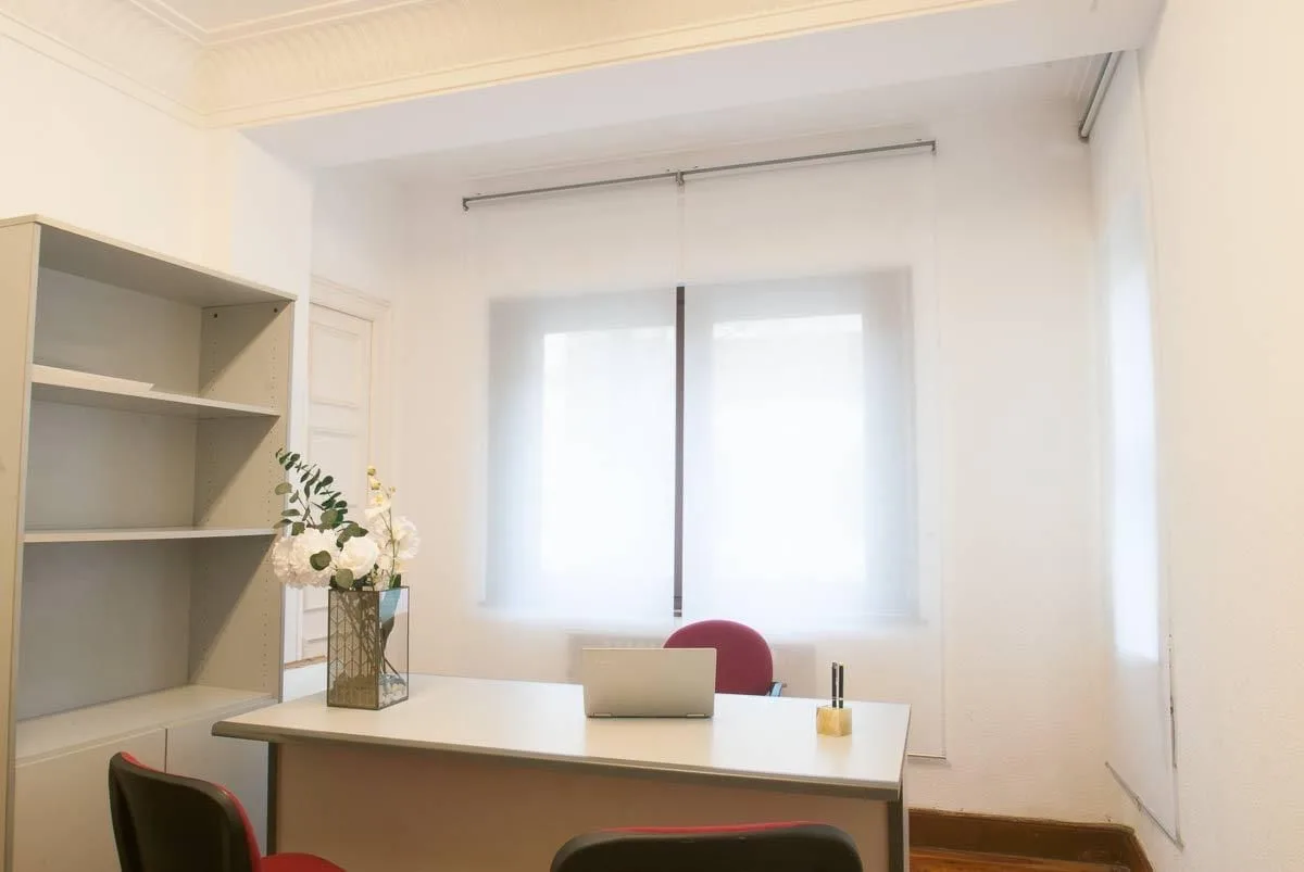 Centro De Negocios Sangüesa 6, Private office, 1 desk, Pamplona